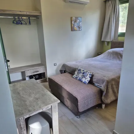 Tzogias Nonna Apartamento Lassi (Kefalonia)