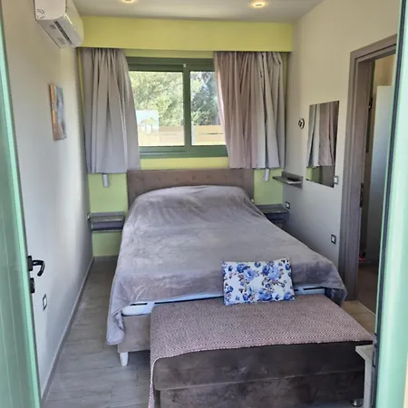 Tzogias Nonna * Ласси