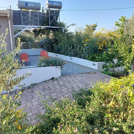 Tzogias Nonna * 라시